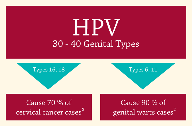 4 Types of HPV that women need to be concerned about